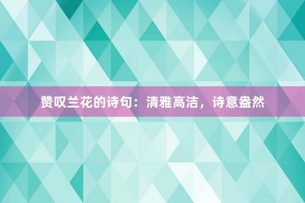 赞叹兰花的诗句：清雅高洁，诗意盎然