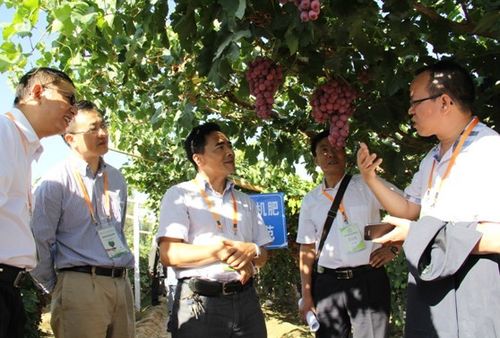 9月4日,由全国农业技术推广服务中心主办,北京世纪阿姆斯生物技术